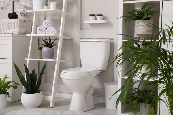 Cost of Toilet Repair in Menomonee Falls