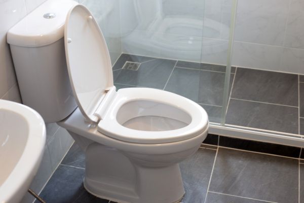 Cost of Toilet Replacement in Menomonee Falls