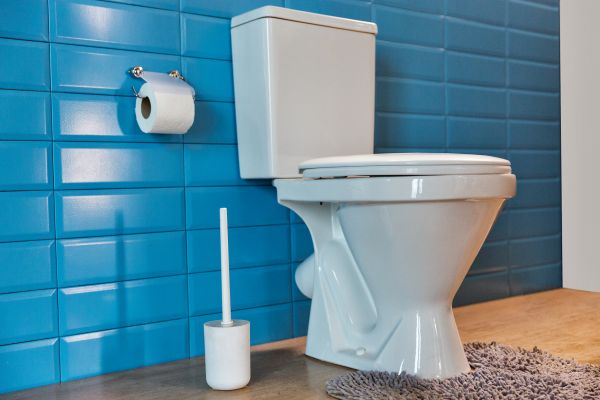 Cost of Toilet Tank Repair in Menomonee Falls