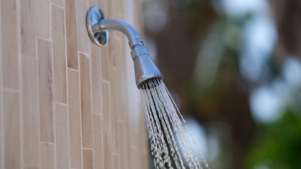 Cost of Showerhead Repair in Menomonee Falls