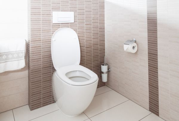 Cost of Toilet Plumbing Installation in Menomonee Falls